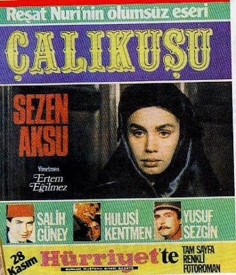 sezenaksu-çalıkuşu.JPG